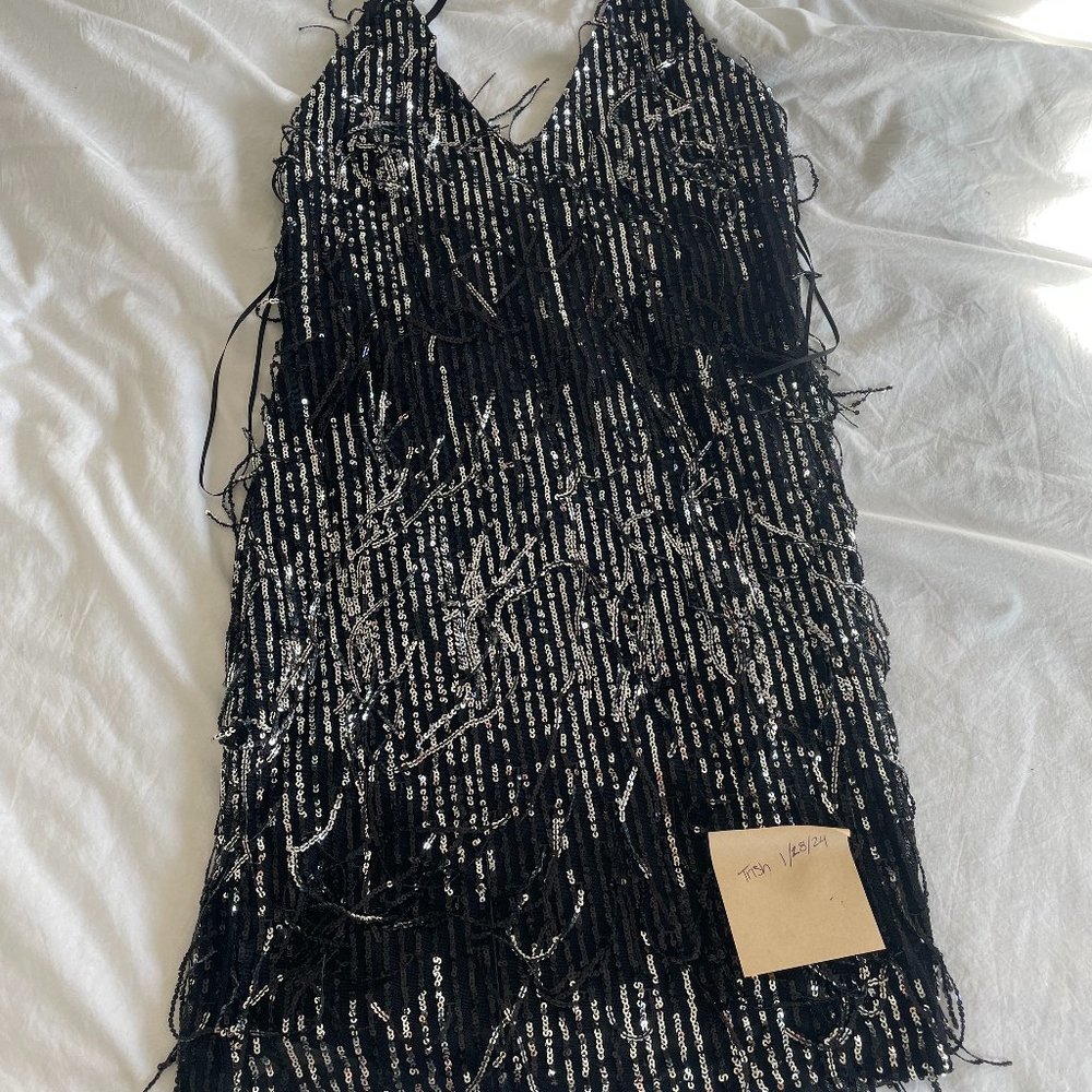 Taylor Swift Concert Inspired Sequin Fringe Black and White Mini Dress
